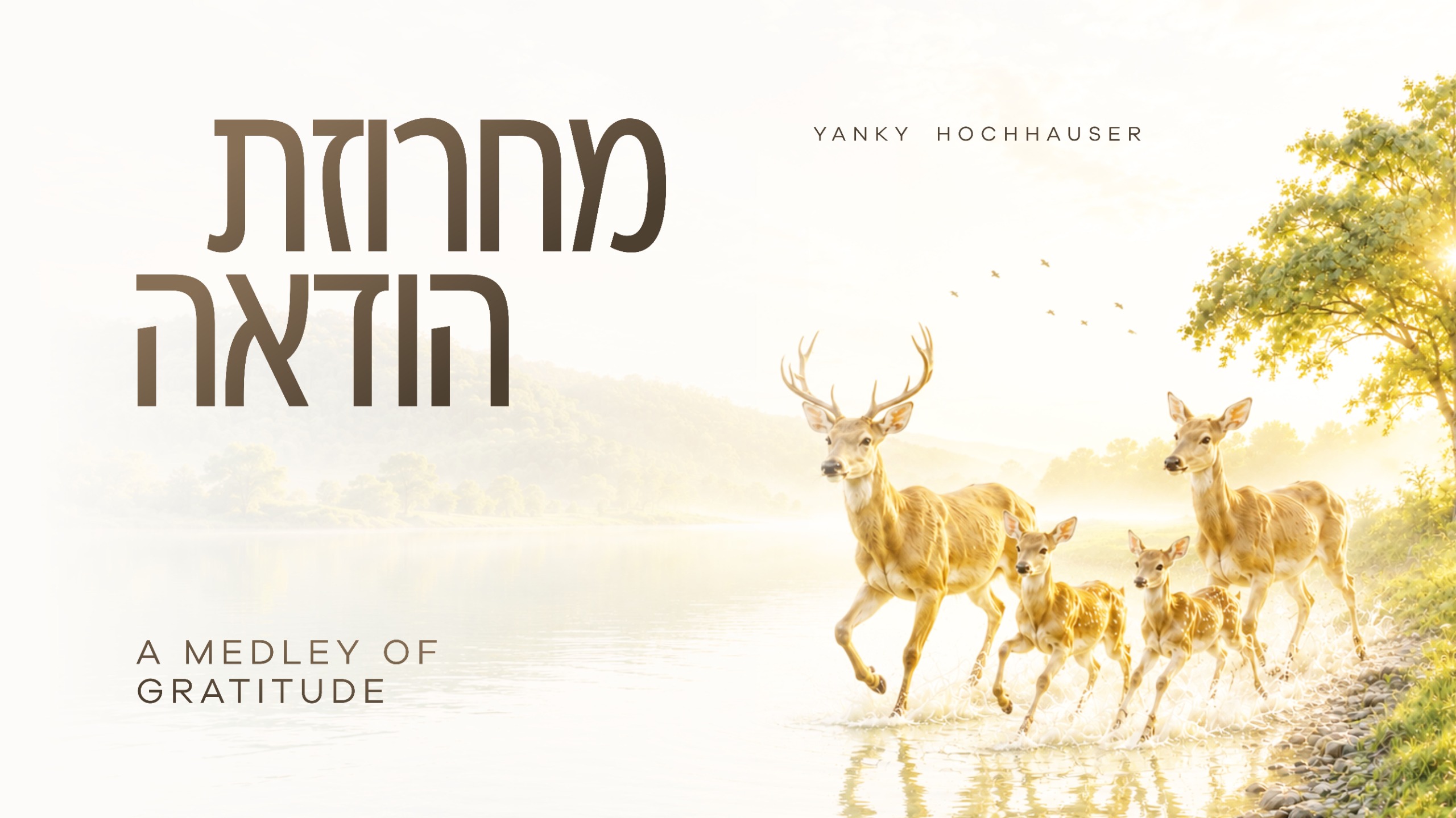 יענקי הוכהייזער מיט א געהויבענע "מחרוזת הודאה"